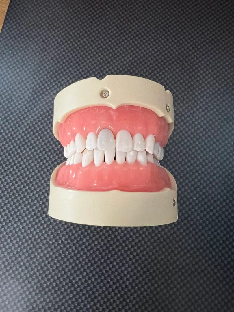 2026年最新】顎模型 ニッシンの人気アイテム - メルカリ