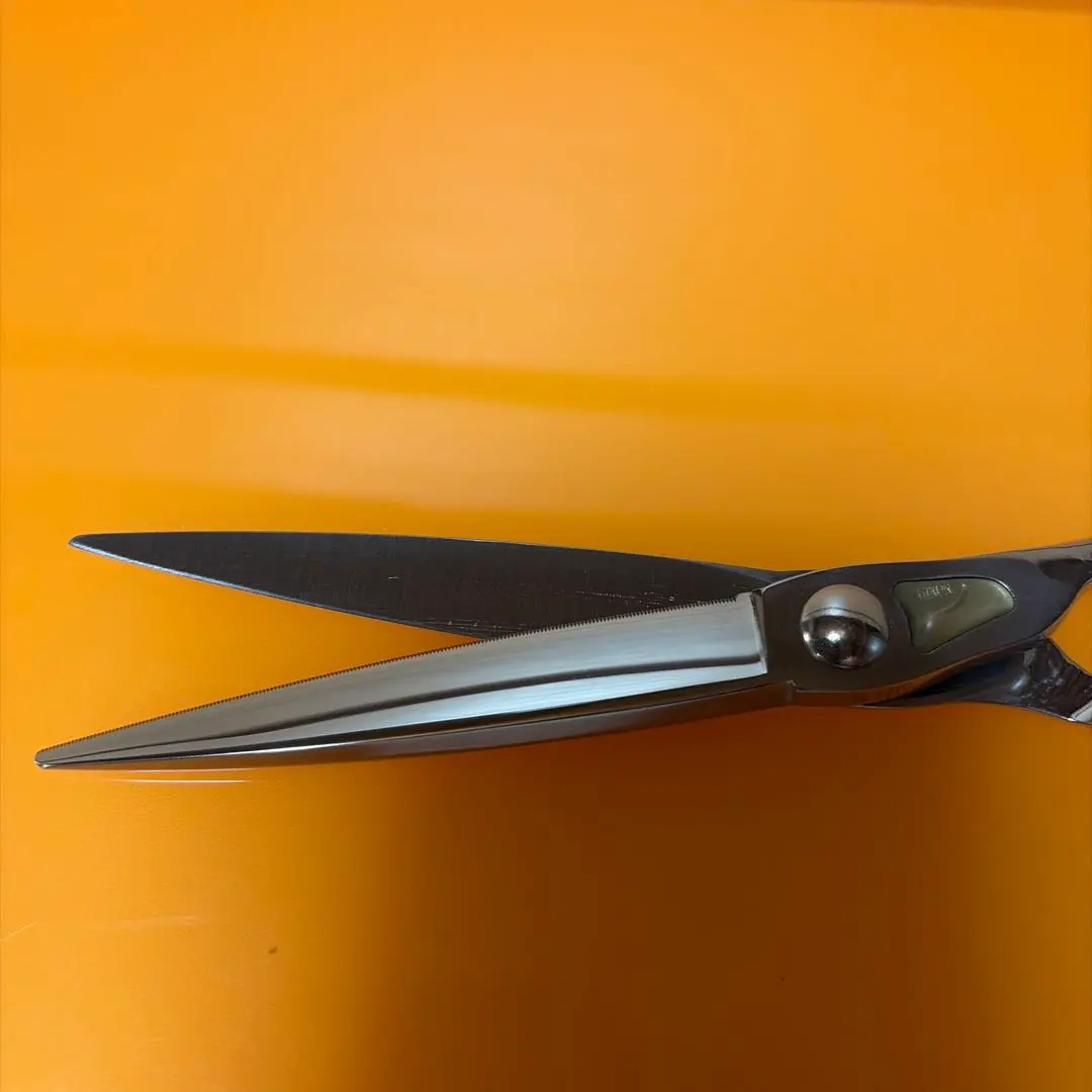 2026年最新】トギノン マリンシャークの人気アイテム - メルカリ