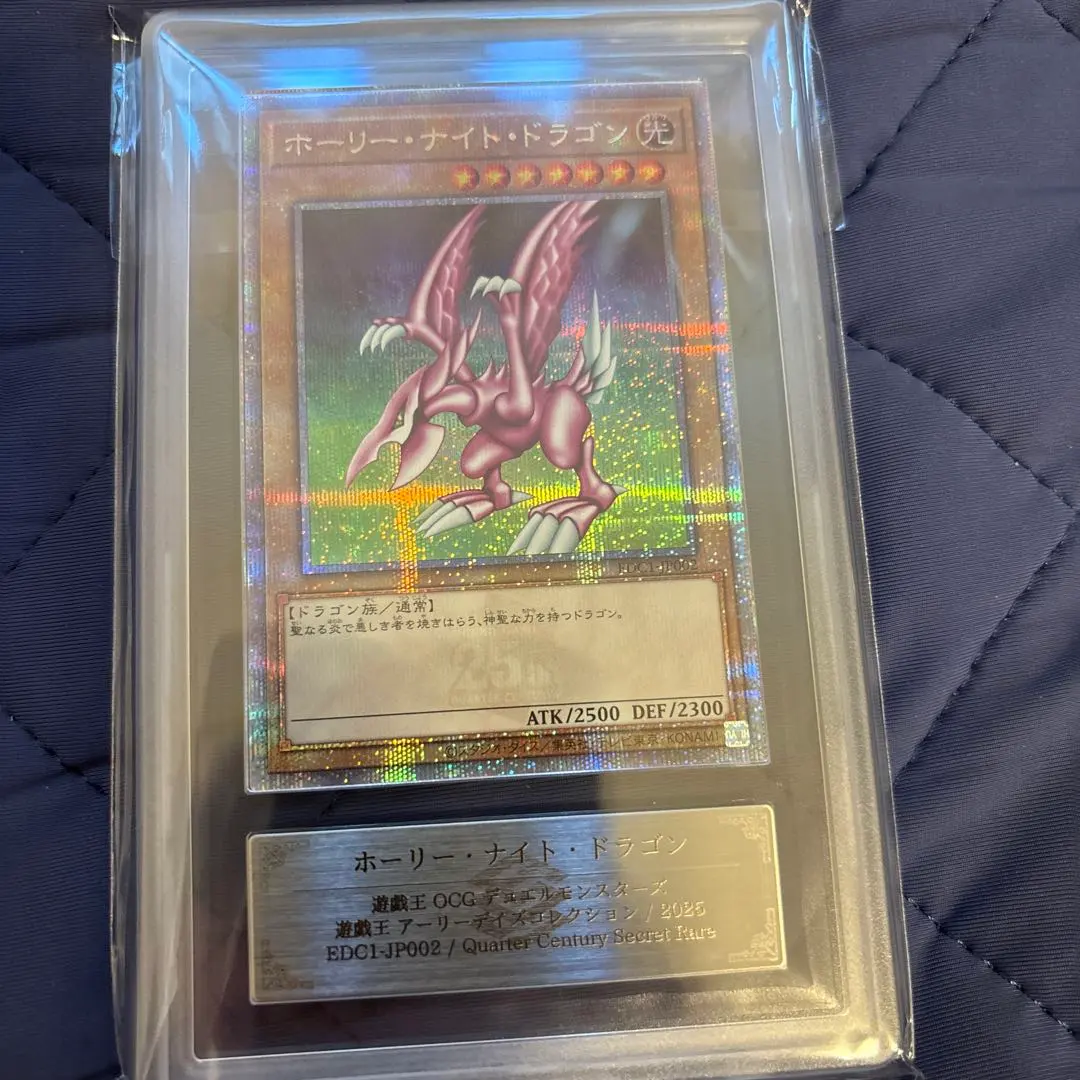 2026年最新】ホーリーナイトドラゴン arsの人気アイテム - メルカリ