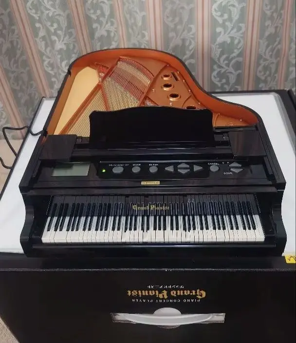 2026年最新】セガトイズ グランドピアニスト プラスの人気アイテム