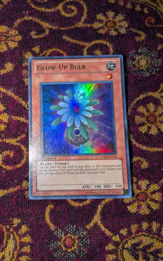 2026年最新】グローアップバルブ 英語の人気アイテム - メルカリ