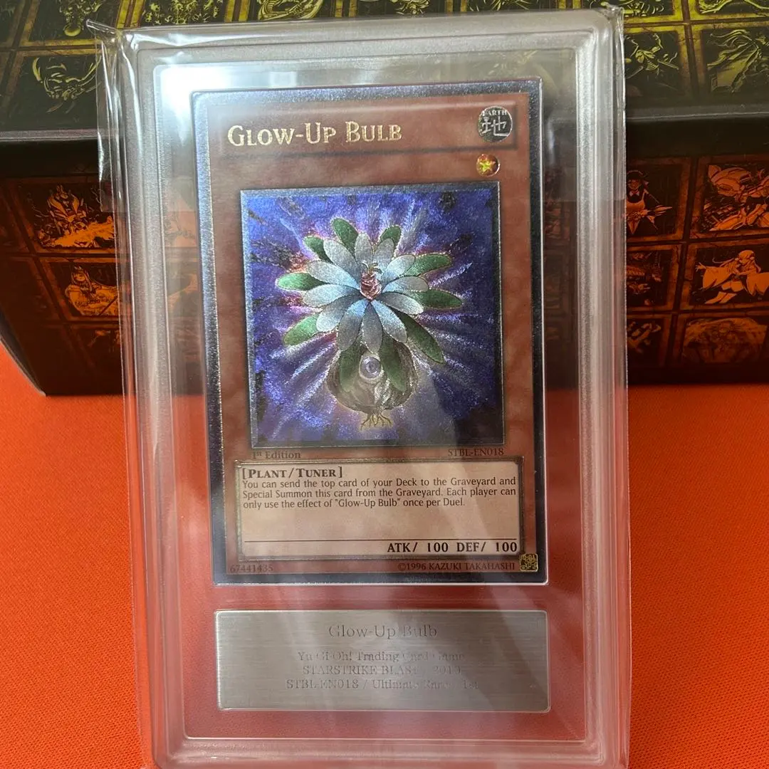 2026年最新】グローアップバルブ 英語の人気アイテム - メルカリ