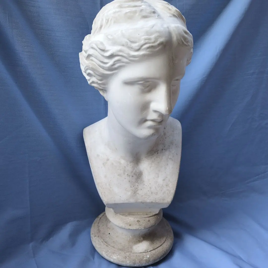 2026年最新】石膏像 ヴィーナスの人気アイテム - メルカリ