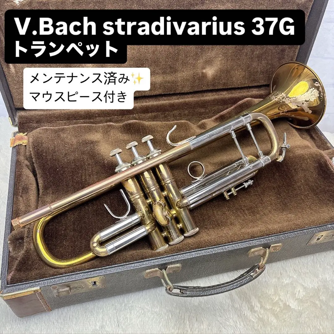 2026年最新】stradivarius bach 37の人気アイテム - メルカリ