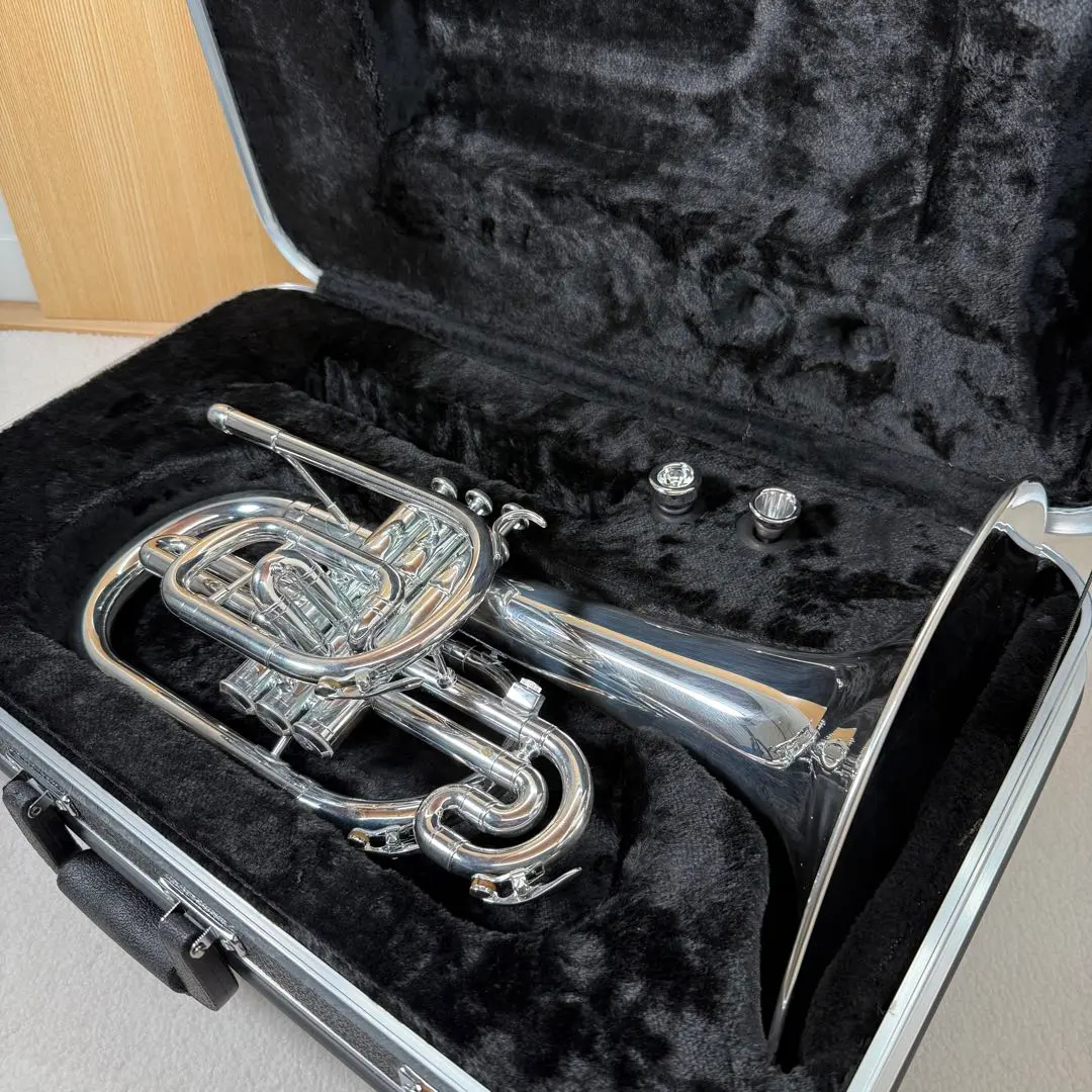 2026年最新】メロフォン マウスピースの人気アイテム - メルカリ