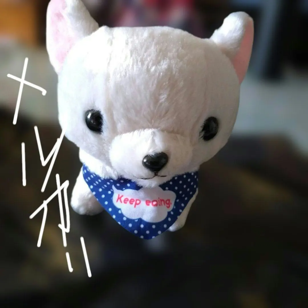 2026年最新】むちむチワワの人気アイテム - メルカリ