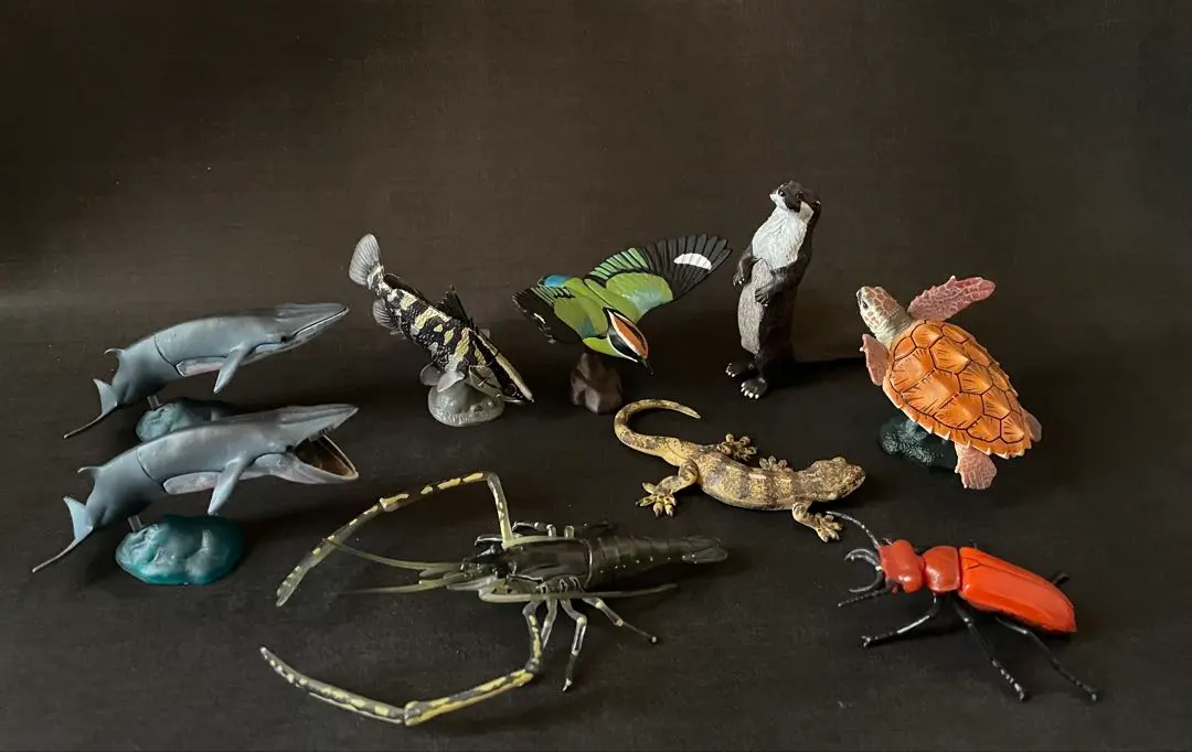 2026年最新】カプセルQ 日本の動物 シークレットの人気アイテム - メルカリ