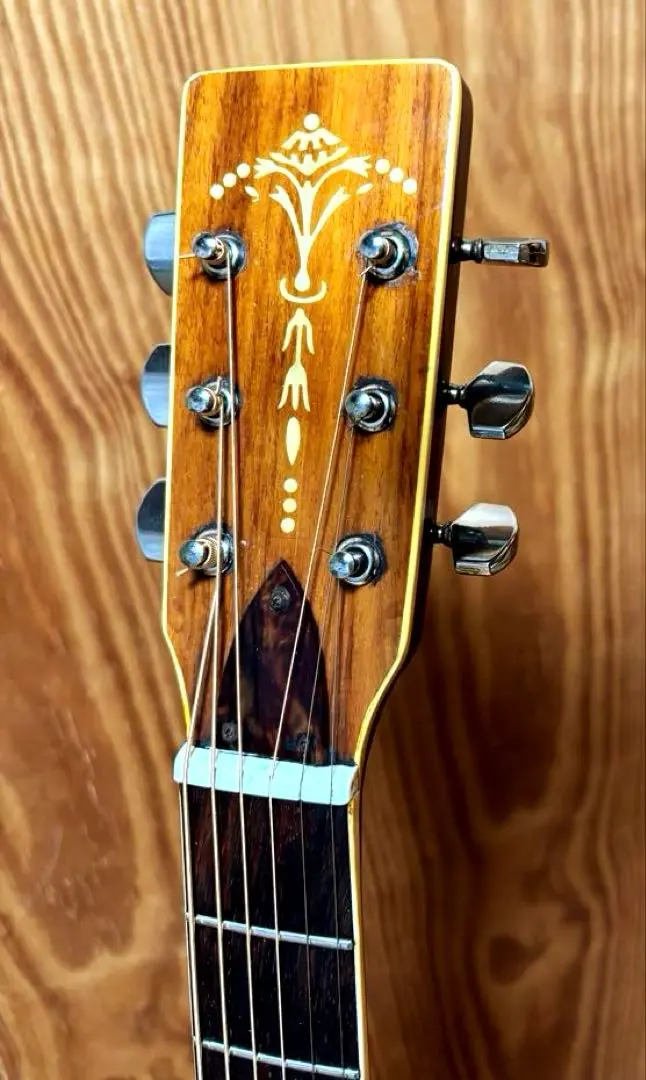 2026年最新】鈴木バイオリン wの人気アイテム - メルカリ