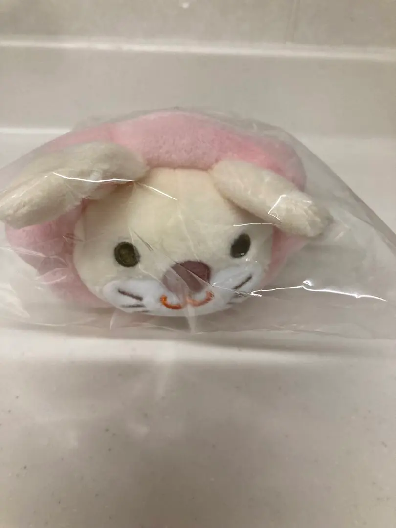 2026年最新】学長 ぬいぐるみ ライオンの人気アイテム - メルカリ