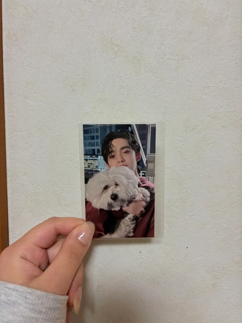 2026年最新】エスクプス クマ トレカの人気アイテム - メルカリ