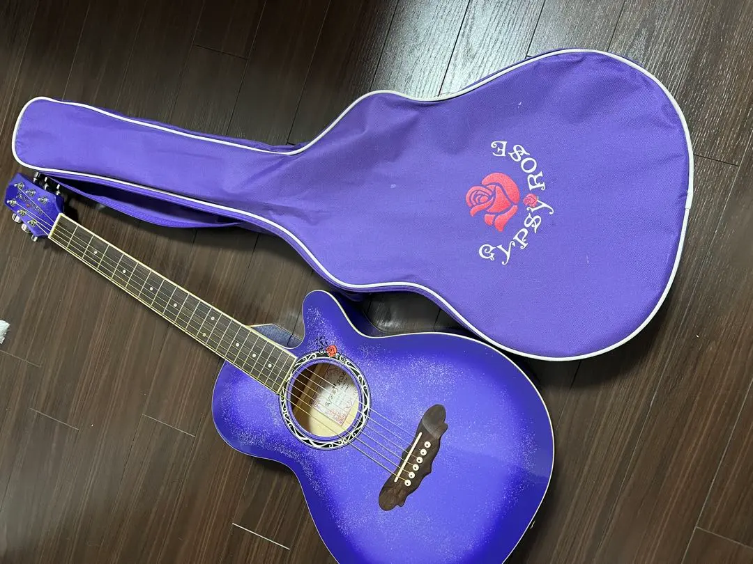 2026年最新】ジプシーローズ ギターの人気アイテム - メルカリ