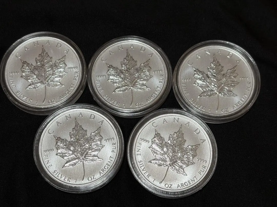 2026年最新】メイプルリーフ銀貨の人気アイテム - メルカリ