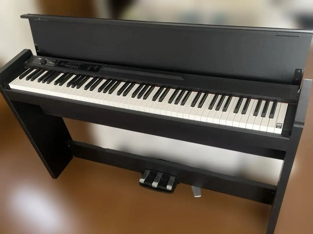 2026年最新】KORG LP-380の人気アイテム - メルカリ