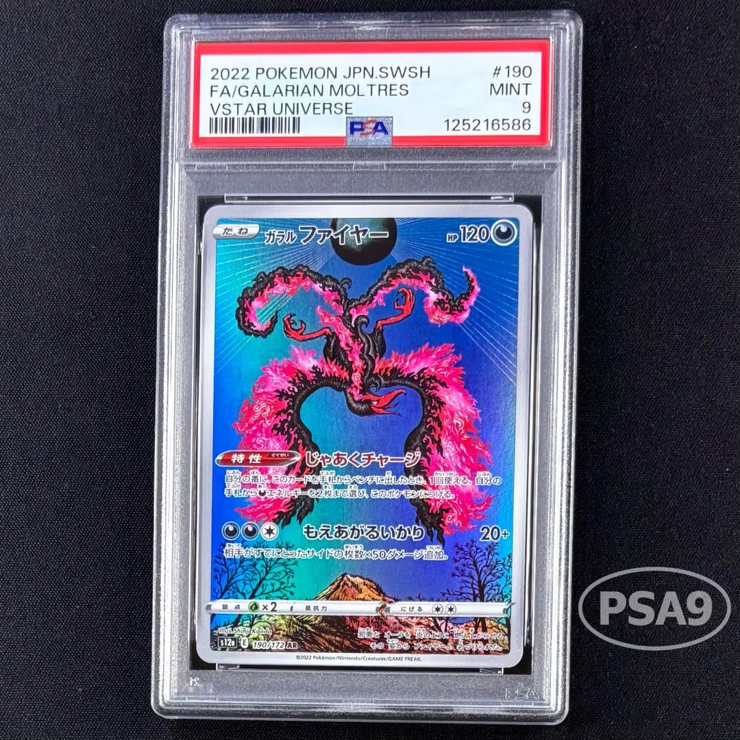 m28131511279_1.jpg?1765357758