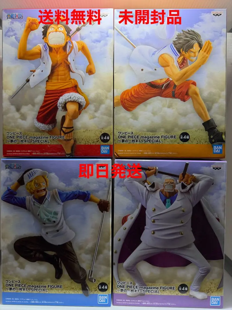 m29550156098_1.jpg?1771094079