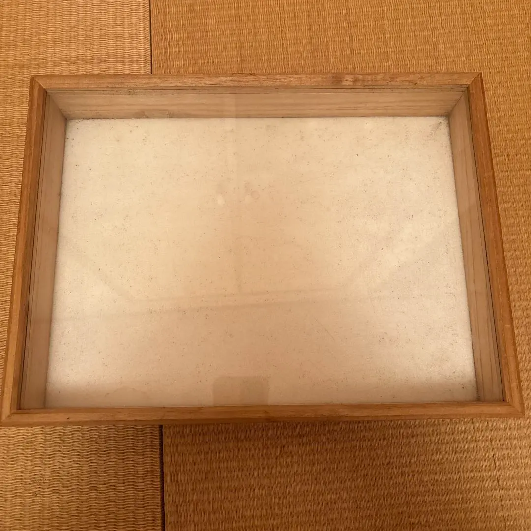 2026年最新】標本箱 ドイツの人気アイテム - メルカリ