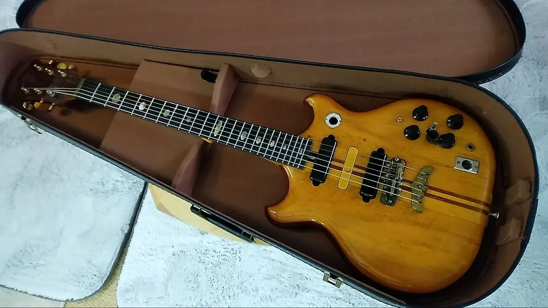 2026年最新】alembic ギターの人気アイテム - メルカリ