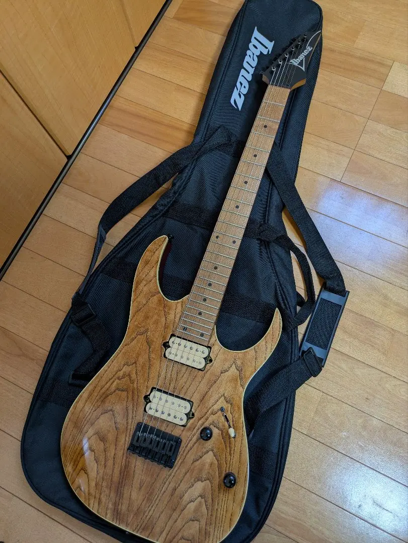 2026年最新】ibanez フロイドローズの人気アイテム - メルカリ