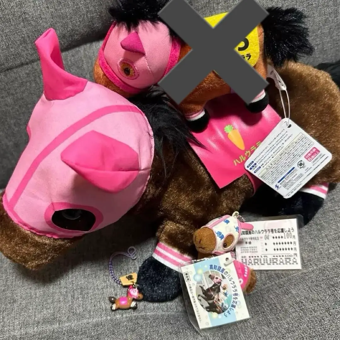 2026年最新】高知競馬 ハルウララの人気アイテム - メルカリ