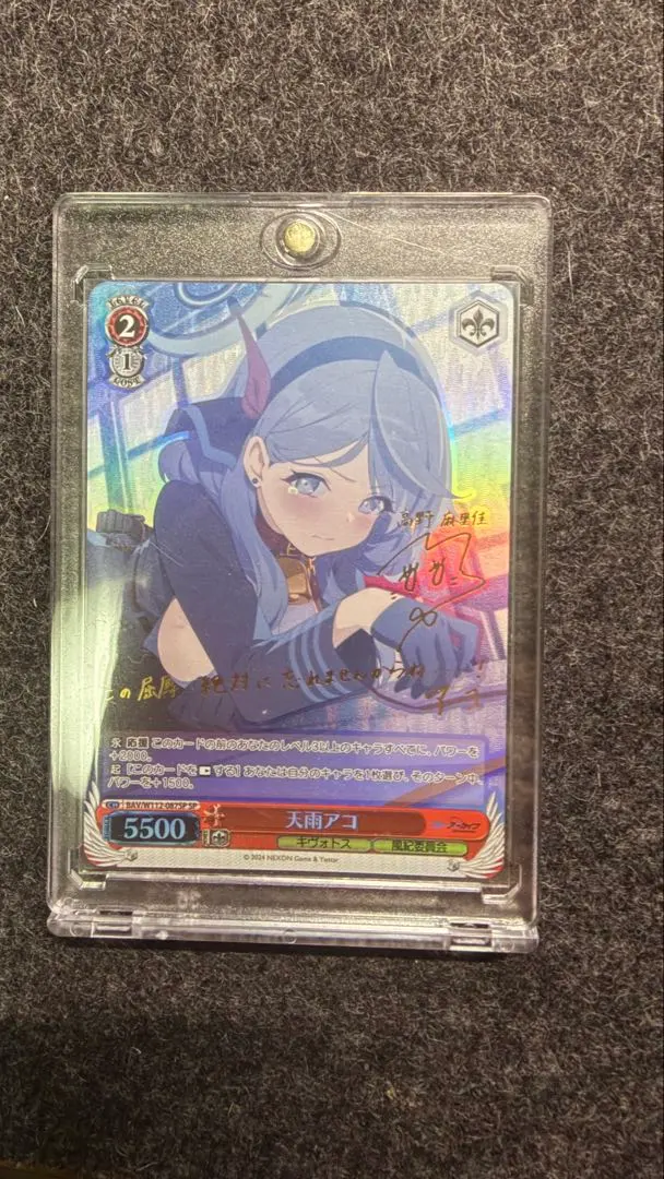 2026年最新】天雨アコSPの人気アイテム - メルカリ