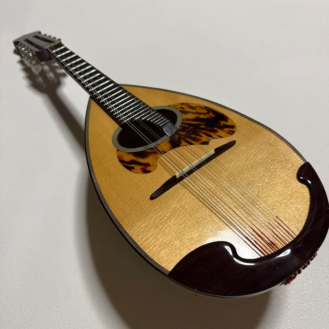 2026年最新】木曽 鈴木バイオリン社の人気アイテム - メルカリ