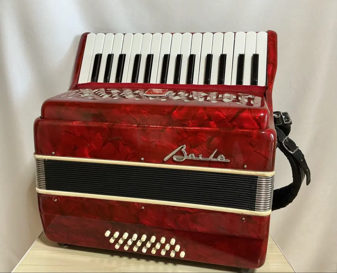 2026年最新】アコーディオン baileの人気アイテム - メルカリ