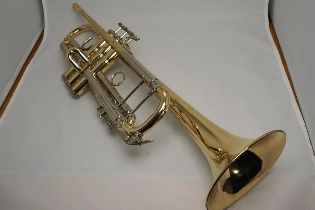 2026年最新】stradivarius bach 37の人気アイテム - メルカリ