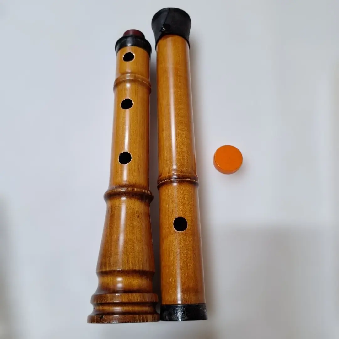2026年最新】琴風尺八の人気アイテム - メルカリ