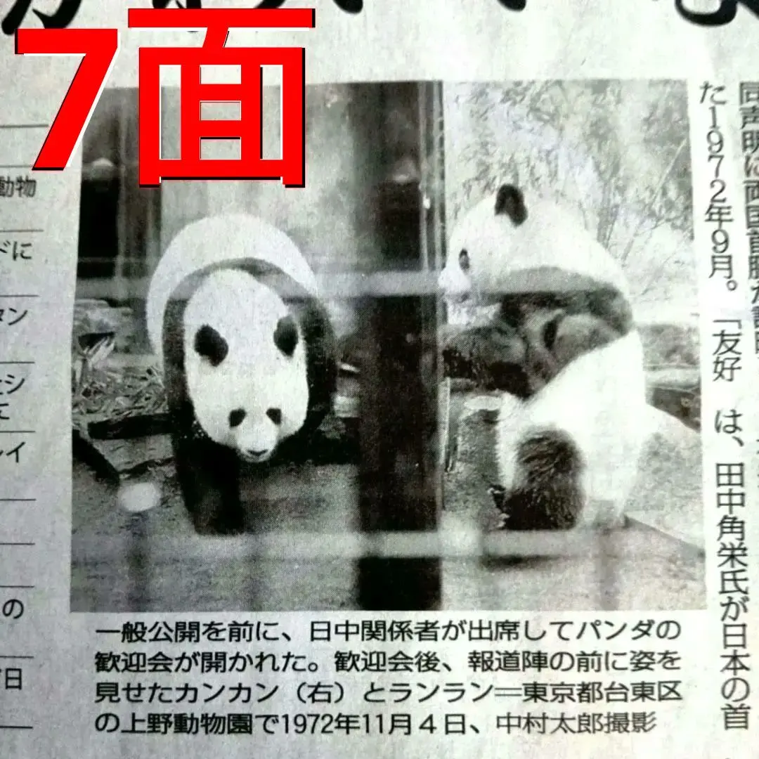 2026年最新】ランラン カンカンの人気アイテム - メルカリ