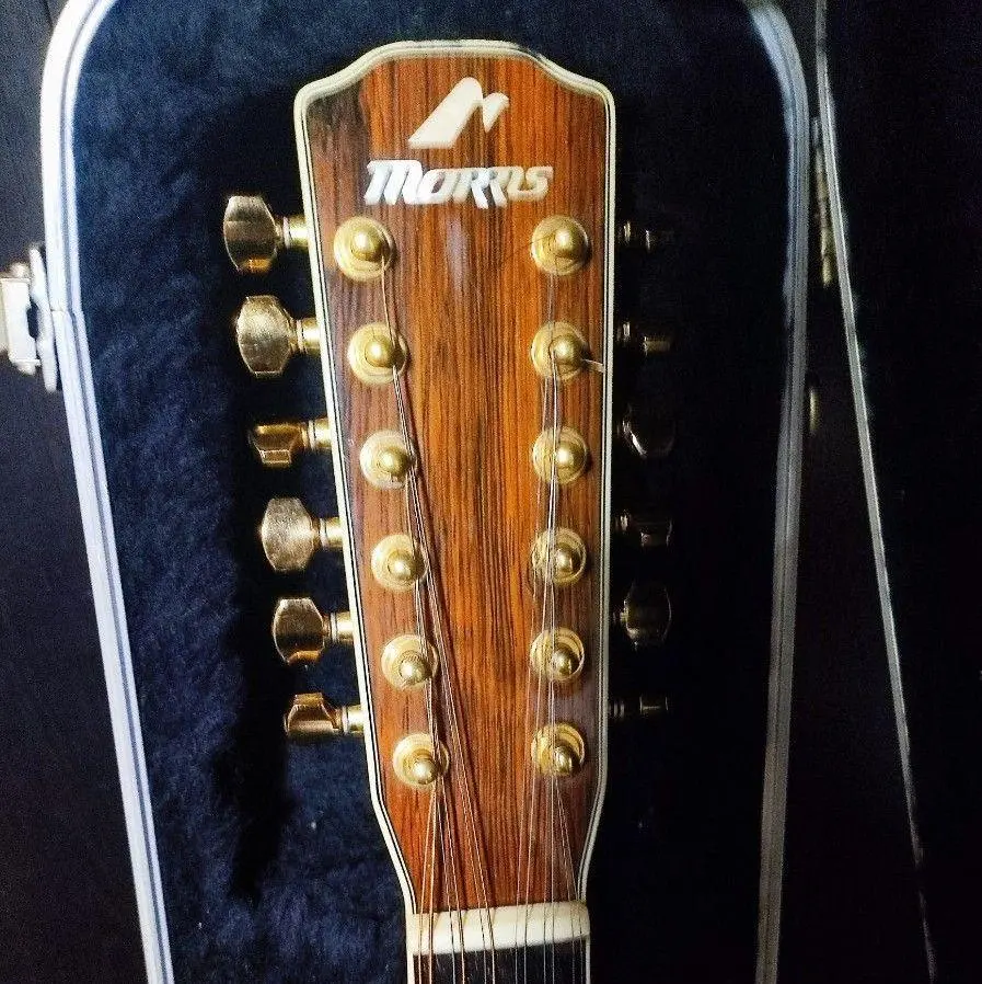 2026年最新】MORRIS F 25の人気アイテム - メルカリ