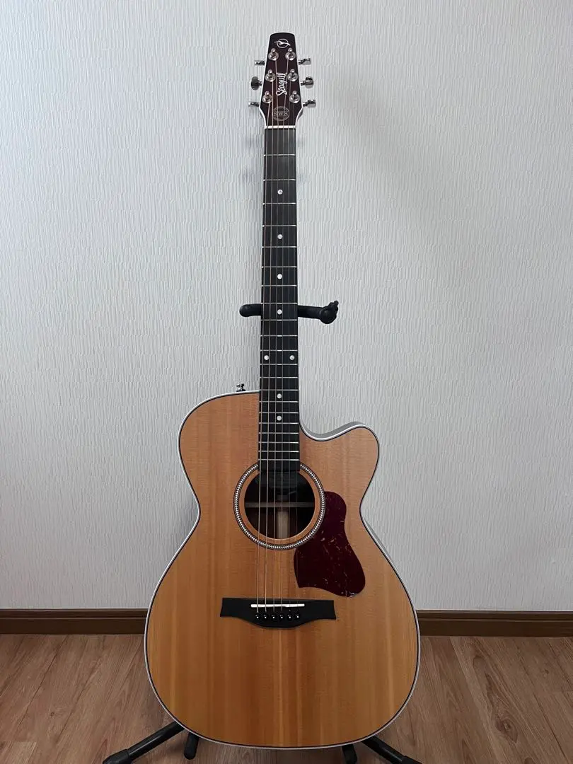 2026年最新】sws ギターの人気アイテム - メルカリ