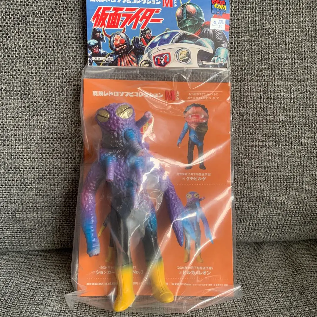 2026年最新】ヒルカメレオンの人気アイテム - メルカリ