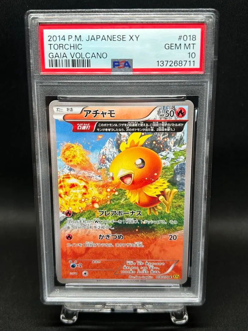 2026年最新】アチャモ psa10の人気アイテム - メルカリ