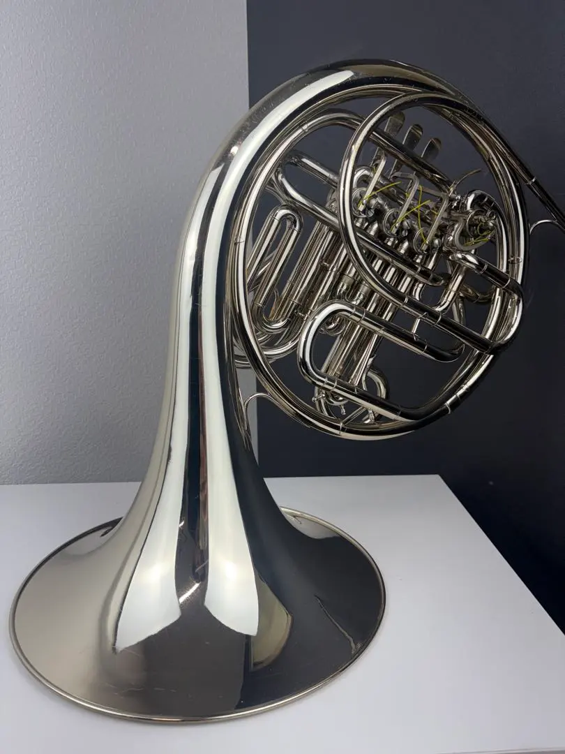 2026年最新】ホルトン ホルンの人気アイテム - メルカリ