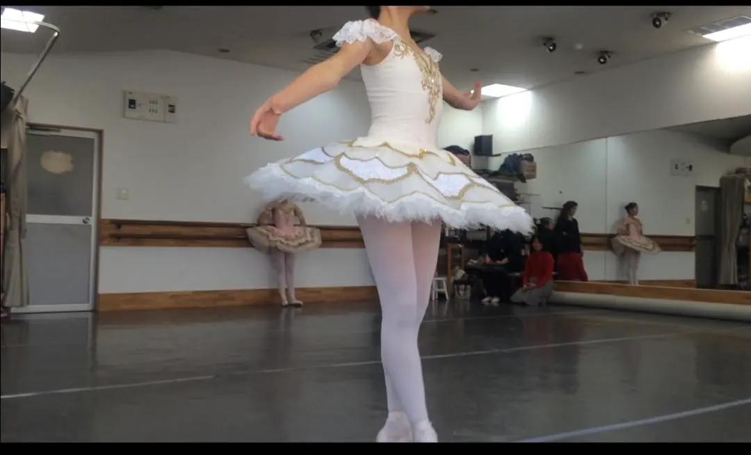 2026年最新】バレエ衣装ライモンダの人気アイテム - メルカリ