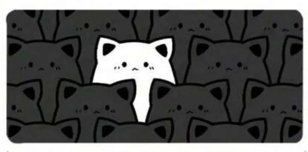 2026年最新】白猫 プレイマットの人気アイテム - メルカリ