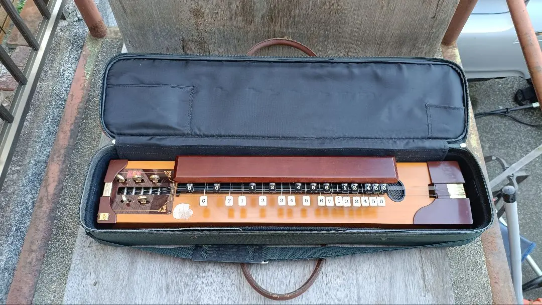 2026年最新】大正琴 もみじの人気アイテム - メルカリ