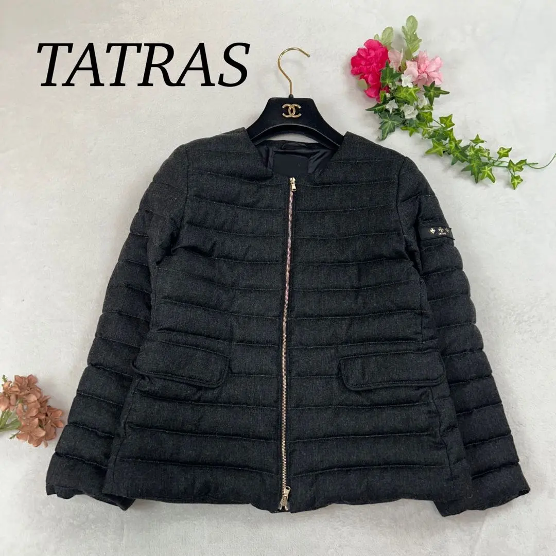 2026年最新】タトラス spinosaの人気アイテム - メルカリ