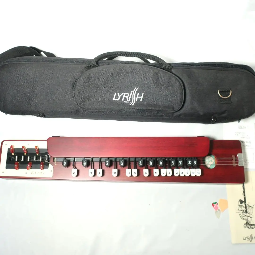 2026年最新】大正琴 ライリッシュの人気アイテム - メルカリ