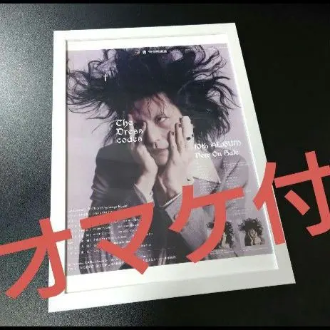 2026年最新】ドレスコーズ ポスターの人気アイテム - メルカリ