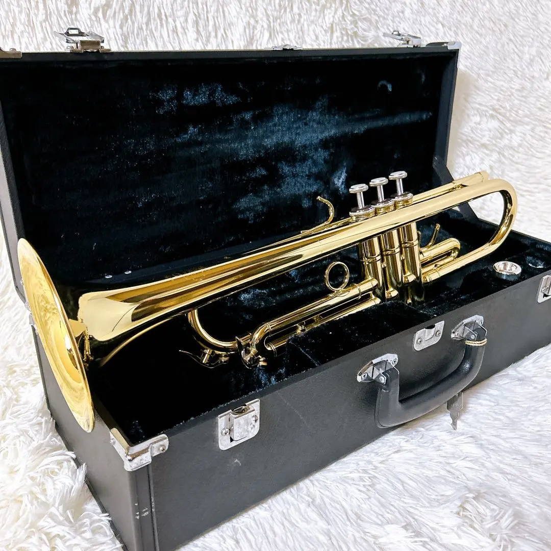 2026年最新】marcato sophia seriesの人気アイテム - メルカリ