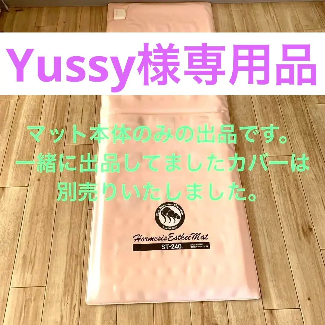 2026年最新】ホルミシスマットの人気アイテム - メルカリ