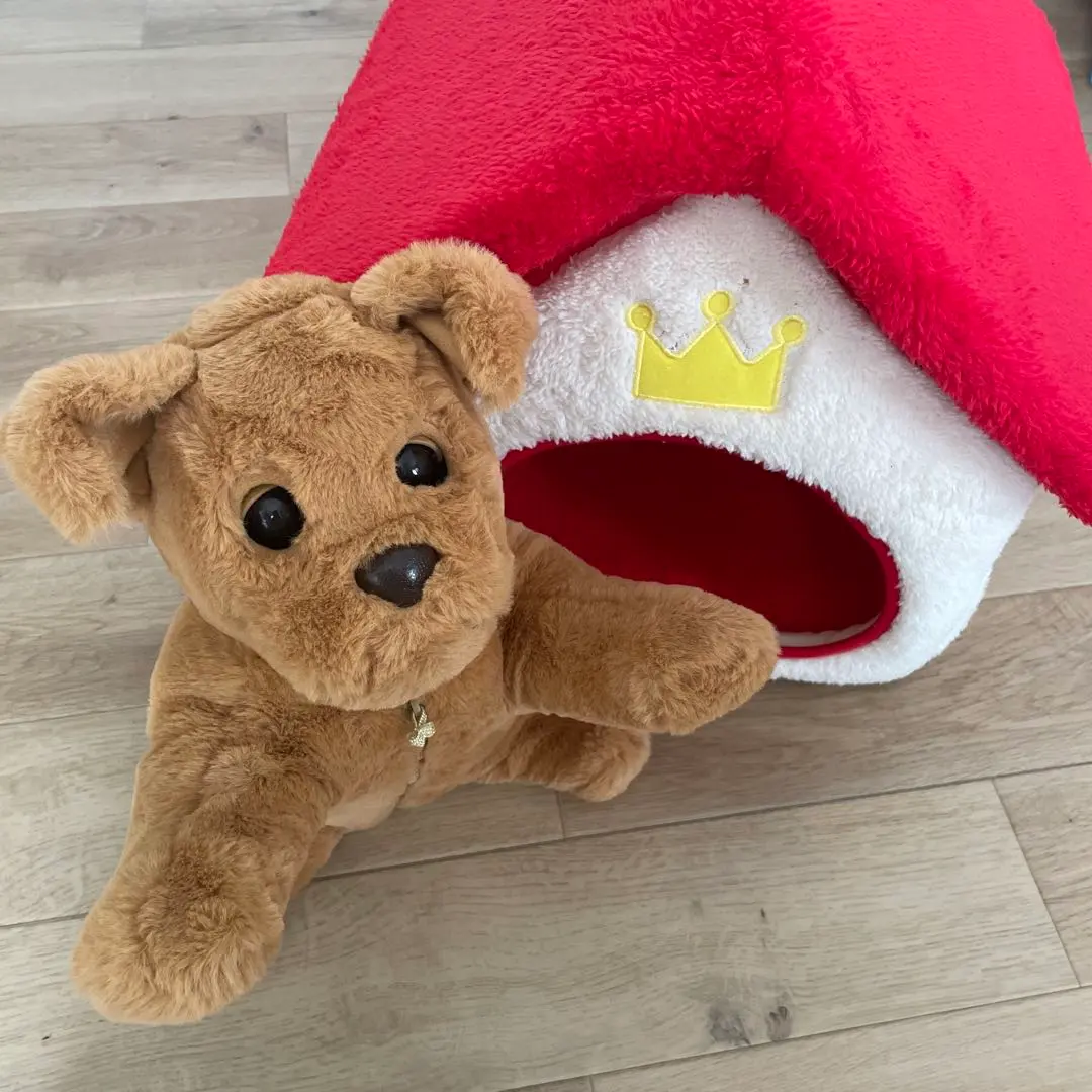 2026年最新】ダッキースターの人気アイテム - メルカリ