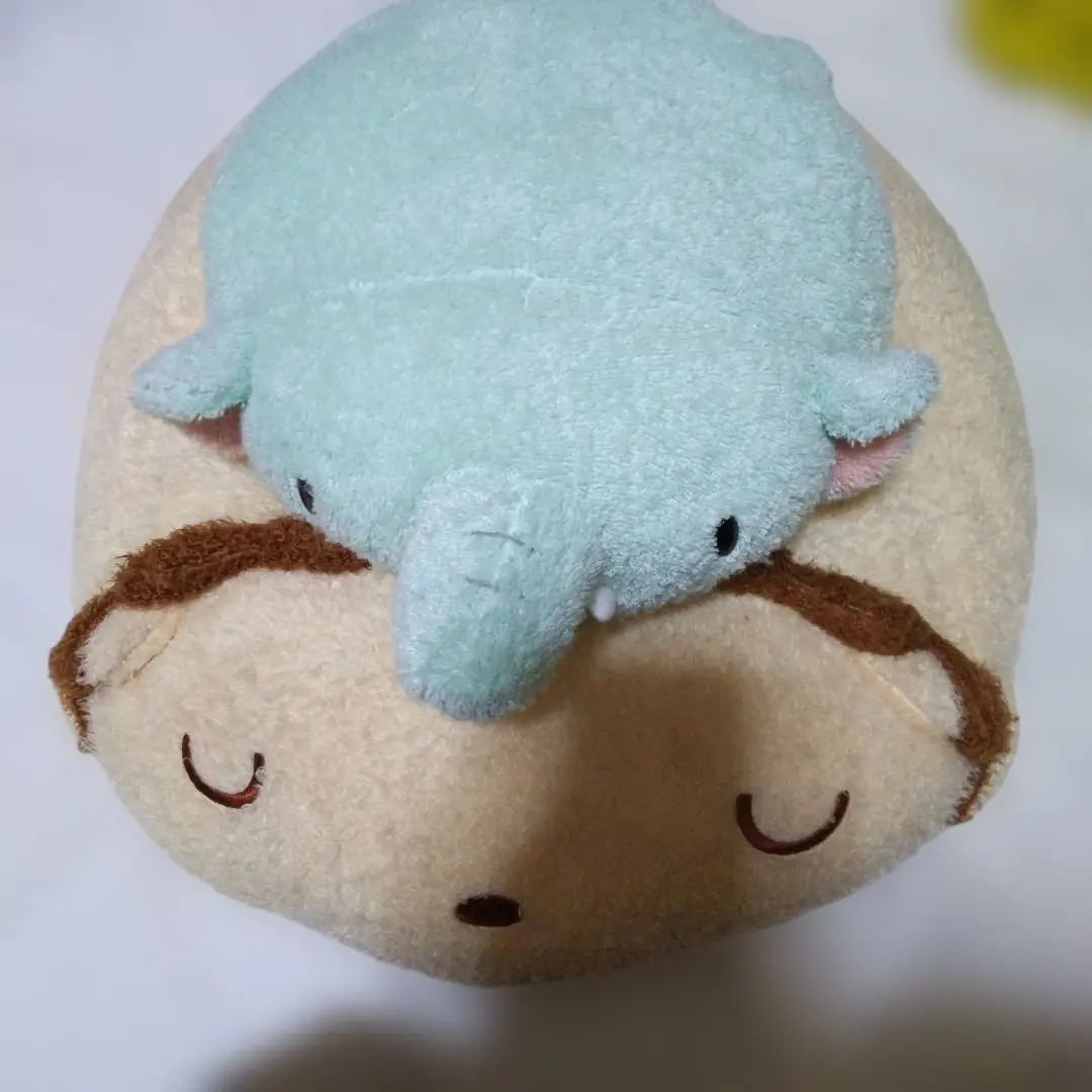 2026年最新】フリッカ ライオンの人気アイテム - メルカリ