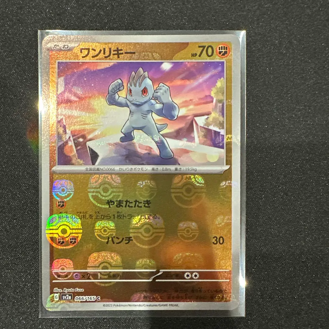 2026年最新】ワンリキー マスターボールミラーの人気アイテム - メルカリ