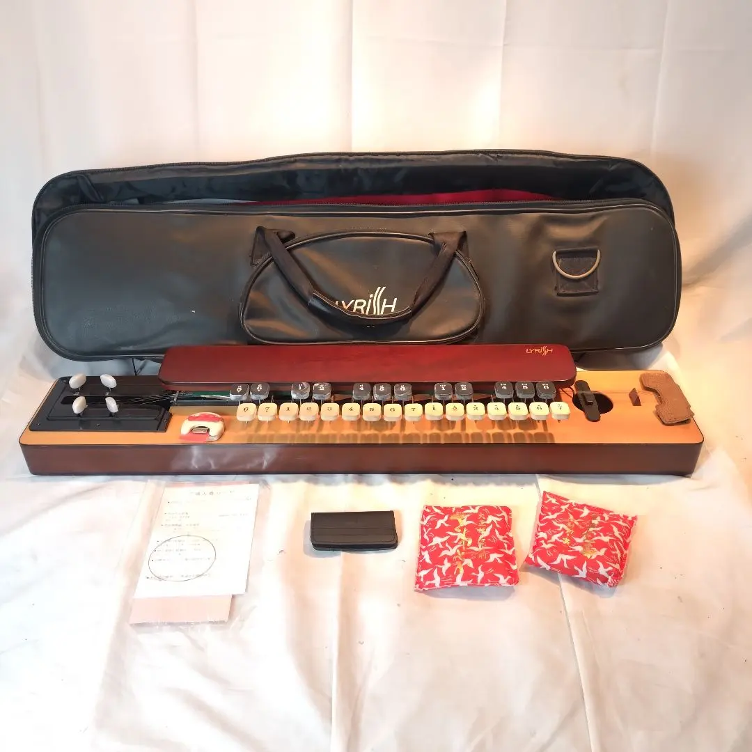 2026年最新】ライリッシュ大正琴の人気アイテム - メルカリ