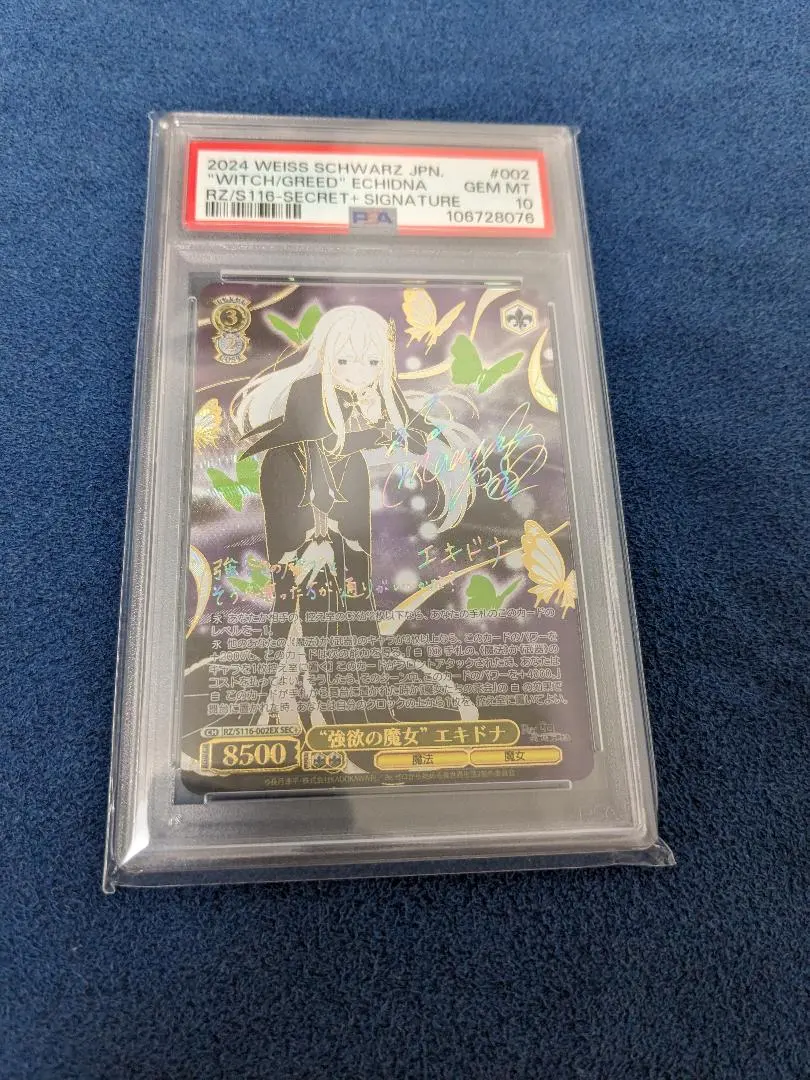 2026年最新】エキドナ sec psa10の人気アイテム - メルカリ