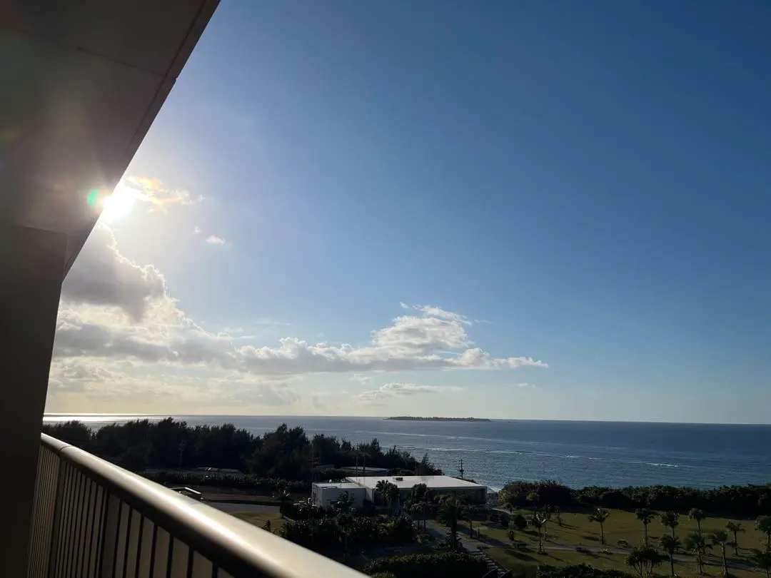 2026年最新】デリシェイクの人気アイテム - メルカリ