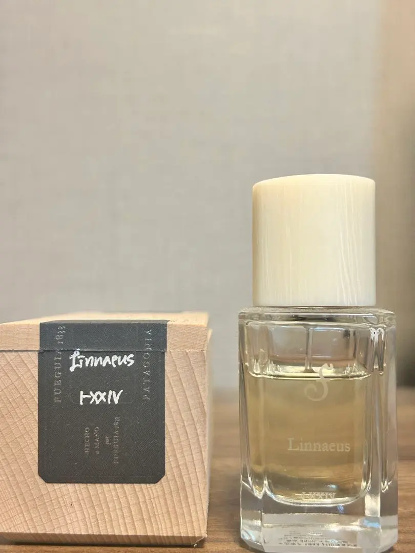 2026年最新】リンナエウスの人気アイテム - メルカリ