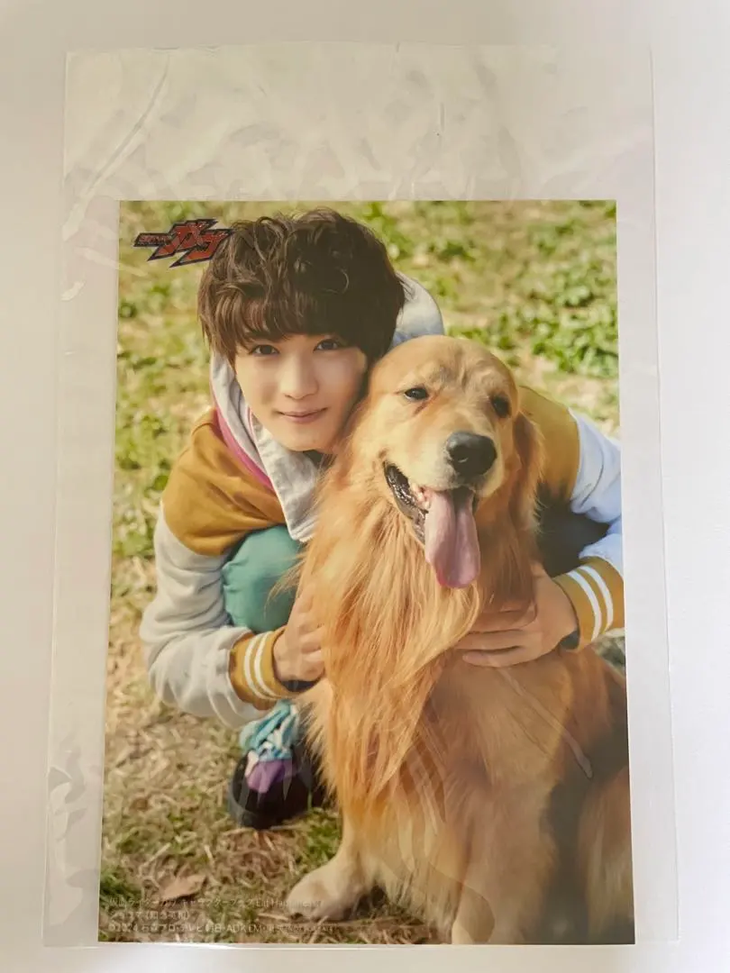 2026年最新】知念英和 生写真の人気アイテム - メルカリ